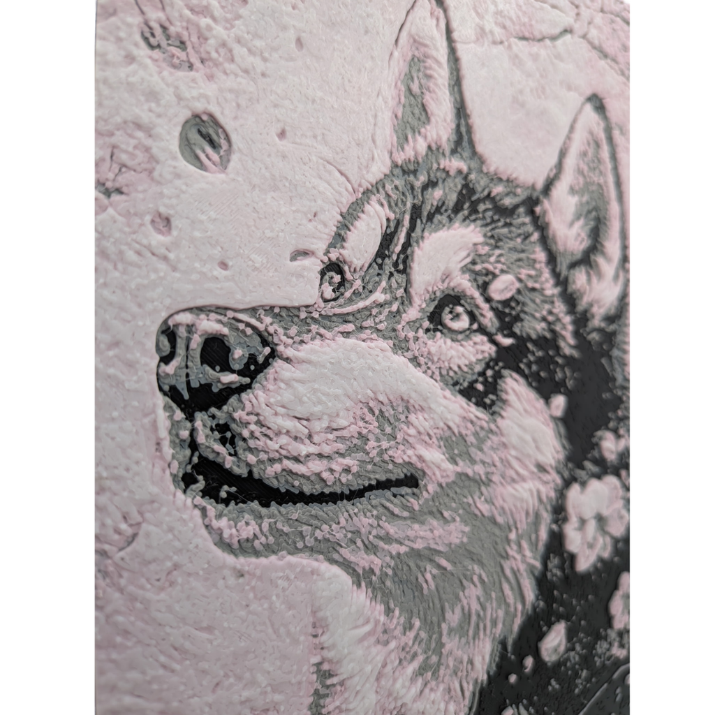 Husky des neiges Contes & Pixels