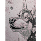 Husky des neiges Contes & Pixels