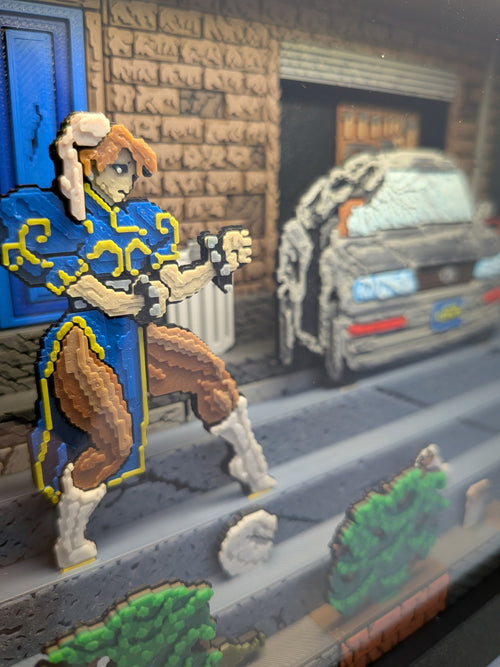 Box Pixel –  La Combattante Légendaire