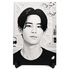 Mingyu Contes & Pixels